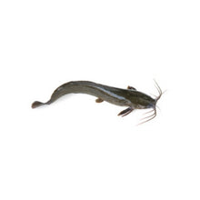 Load image into Gallery viewer, Northern Halibut Portions 500g
