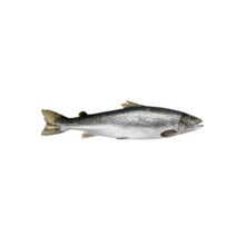 Load image into Gallery viewer, C. Wirthy &amp; Co. Blackened Salmon Fillets 300g
