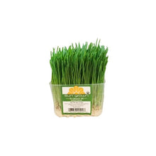 Load image into Gallery viewer, Green Beans 250g
